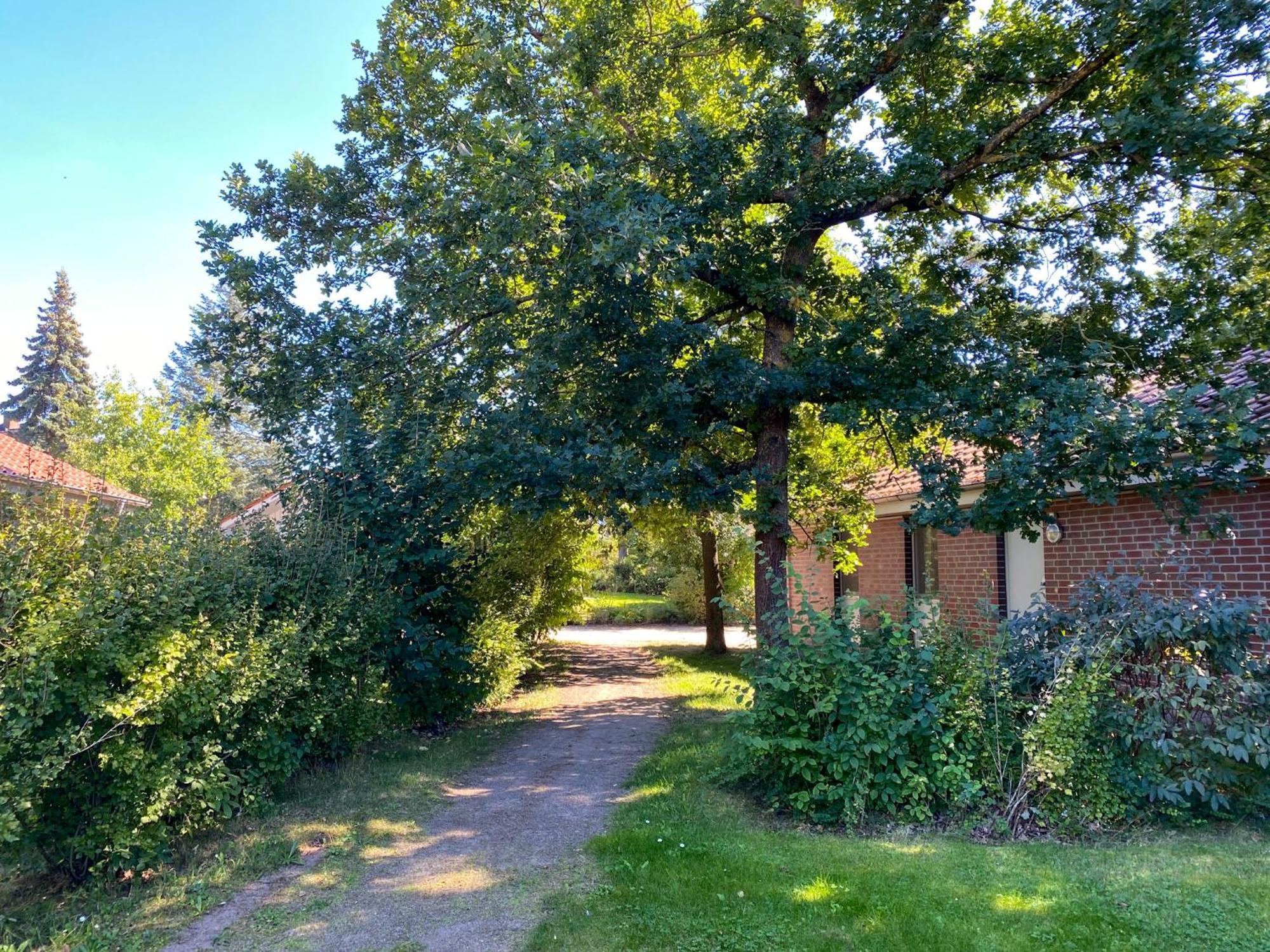Ferienhaus Wiesengefluester W10 - Mit Sauna, Kamin Und Garten Röbel Exterior foto